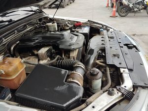 Miniatura 10