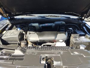 Miniatura 12