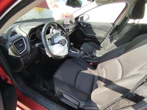 Miniatura 13