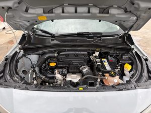 Miniatura 9