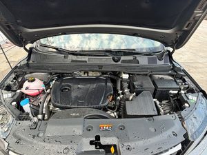 Miniatura 9