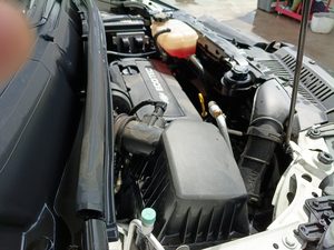 Miniatura 11