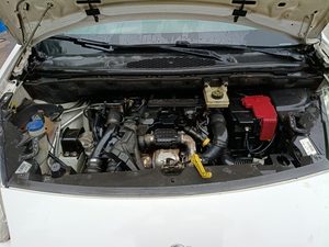 Miniatura 9