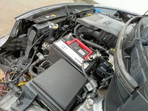 Miniatura 10