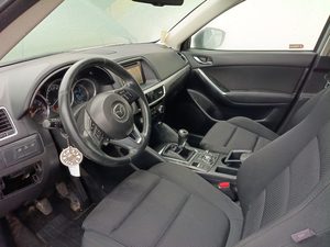 Miniatura 13