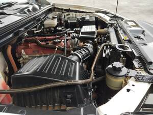Miniatura 10