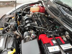 Miniatura 9